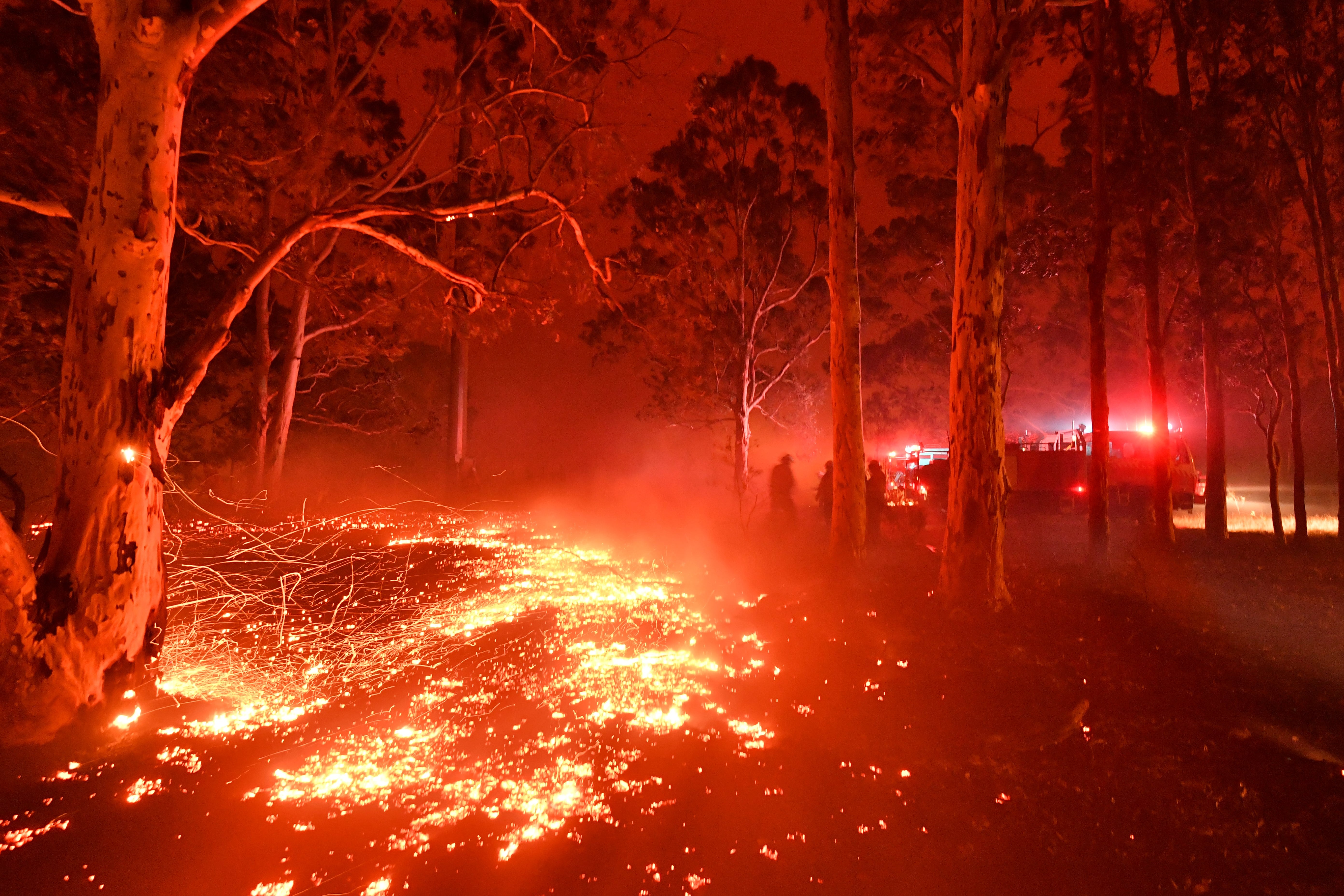 Bomba Malaysia siap siaga bantu kebakaran hutan Australia