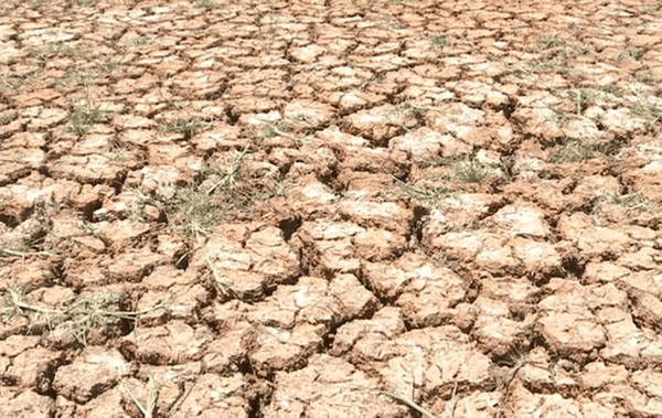 தென்கிழக்கு ஆசியாவில் வறட்சி காலம், அநேகமாக அக்டோபர் மாதம் வரை நீடிக்கும்
