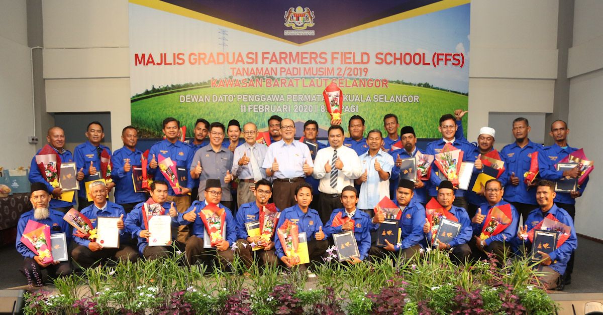 依兹汉吁稻农勿拔苗助长