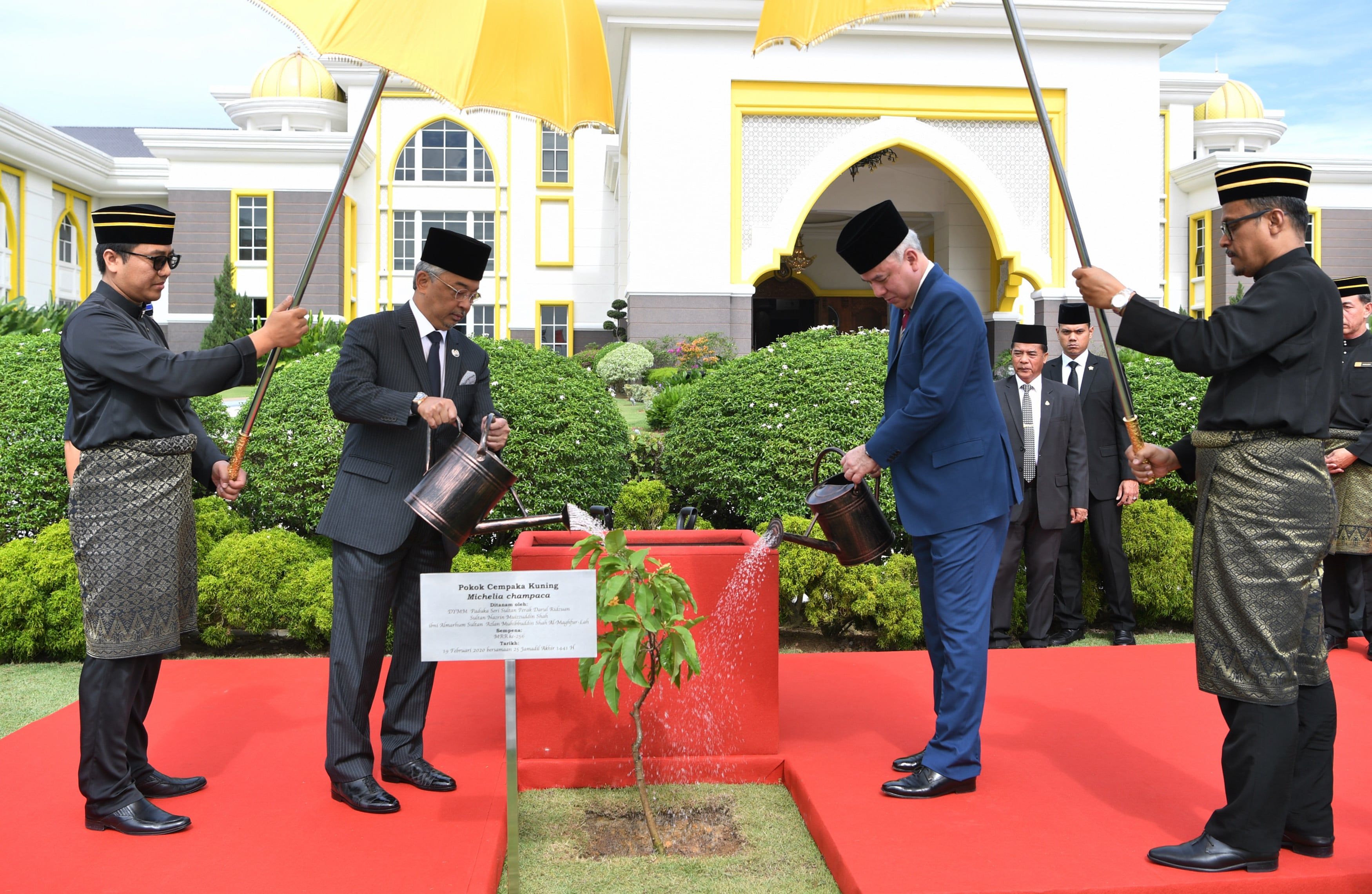 256ஆவது ஆட்சியாளர் கூட்டத்தை முன்னிட்டு மஞ்சள் செம்பக மரம் நடவு நிகழ்ச்சி