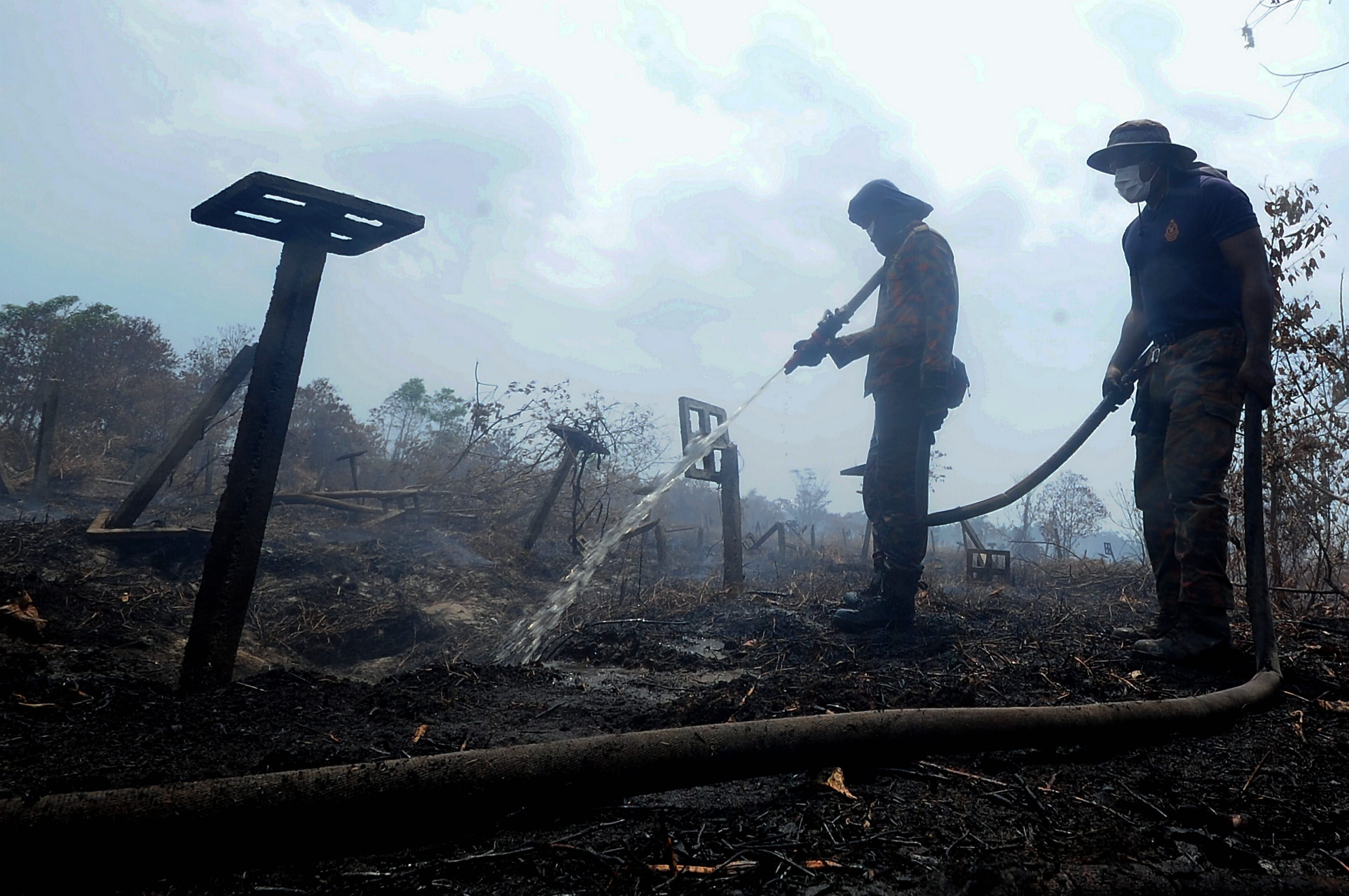Kebakaran Hutan Simpan Kuala Langat padam sepenuhnya