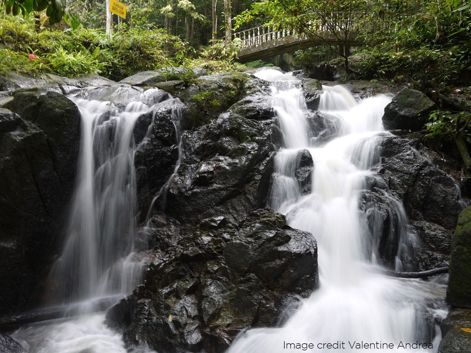 2022年世界水源日：保护和珍惜生命泉源