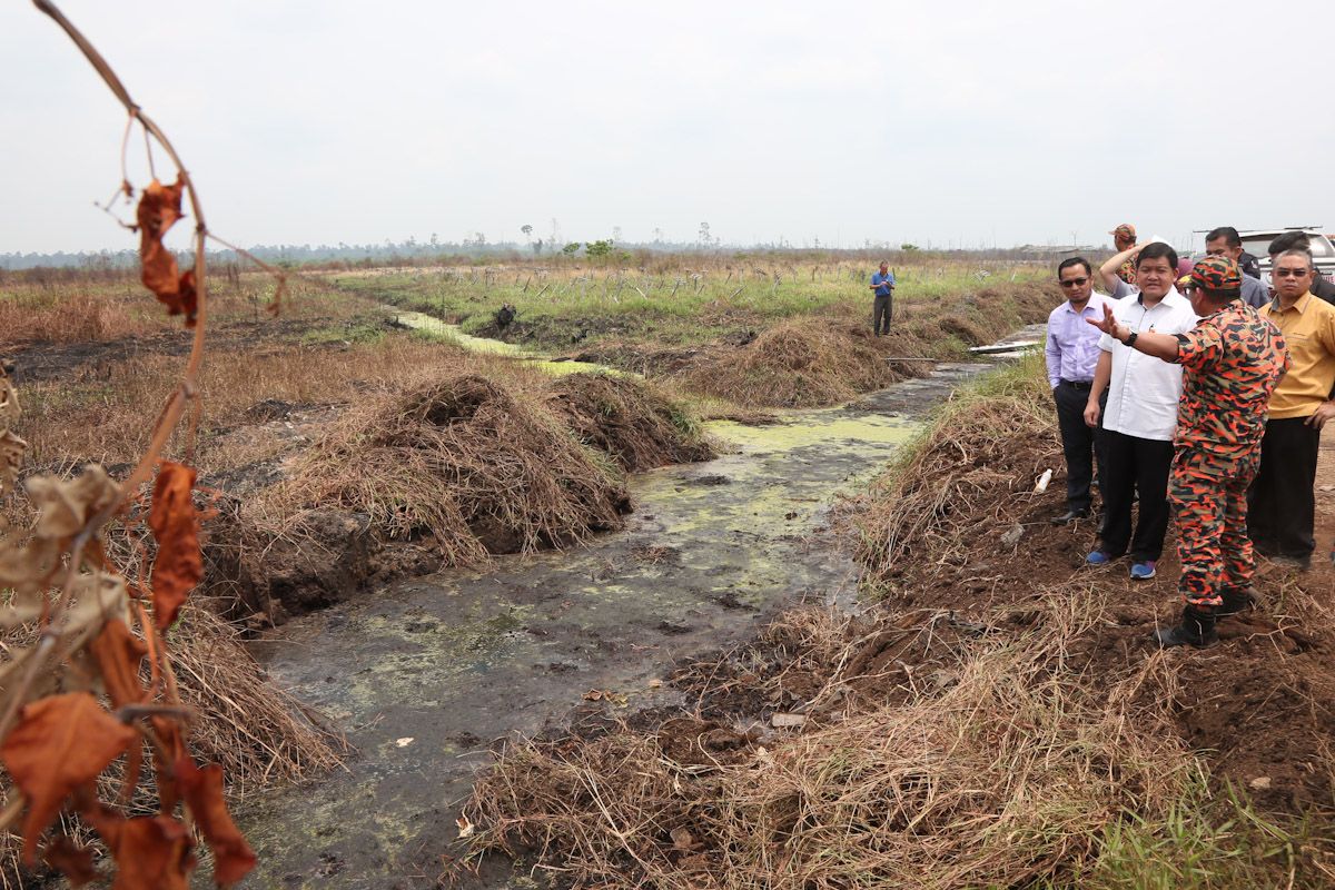 EXCO: Bakar sisa tanaman kontan punca hutan simpan terbakar