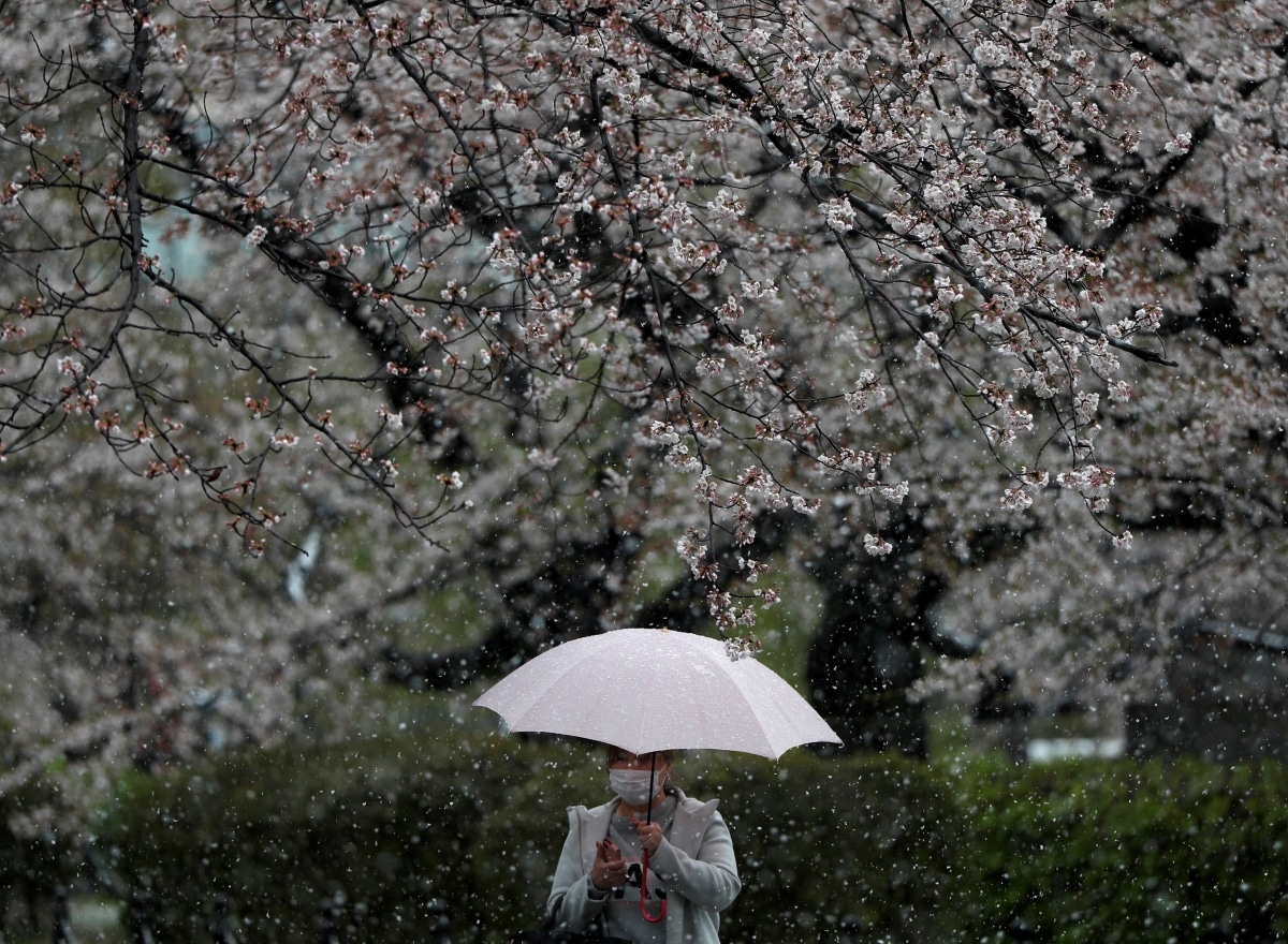 Asean 2020: Japan stands ready to help Asean reduce emissions