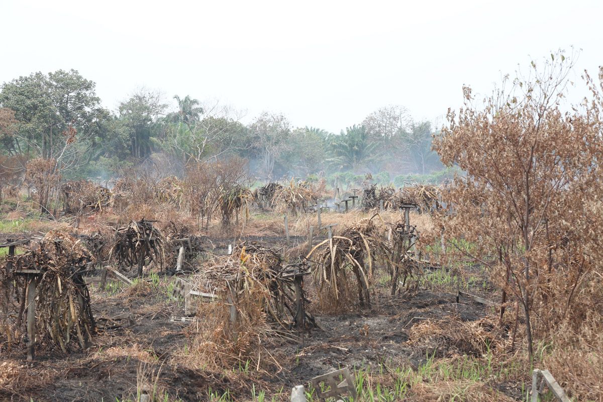 瓜冷森林保留地失火 挖12道火障阻火势蔓延