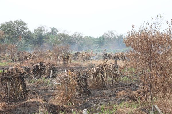 瓜冷森林保留地失火 挖12道火障阻火势蔓延