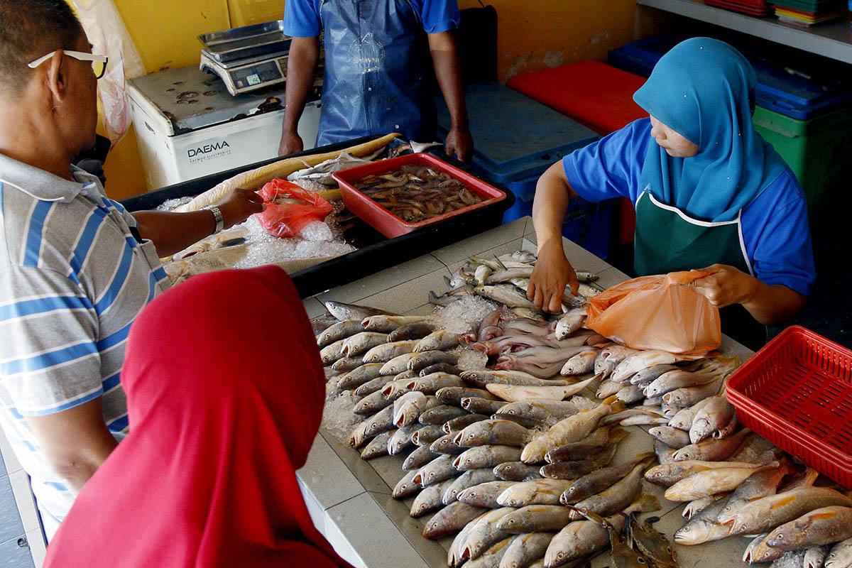Fisheries Dept to ensure marine fish imports radionuclide-free