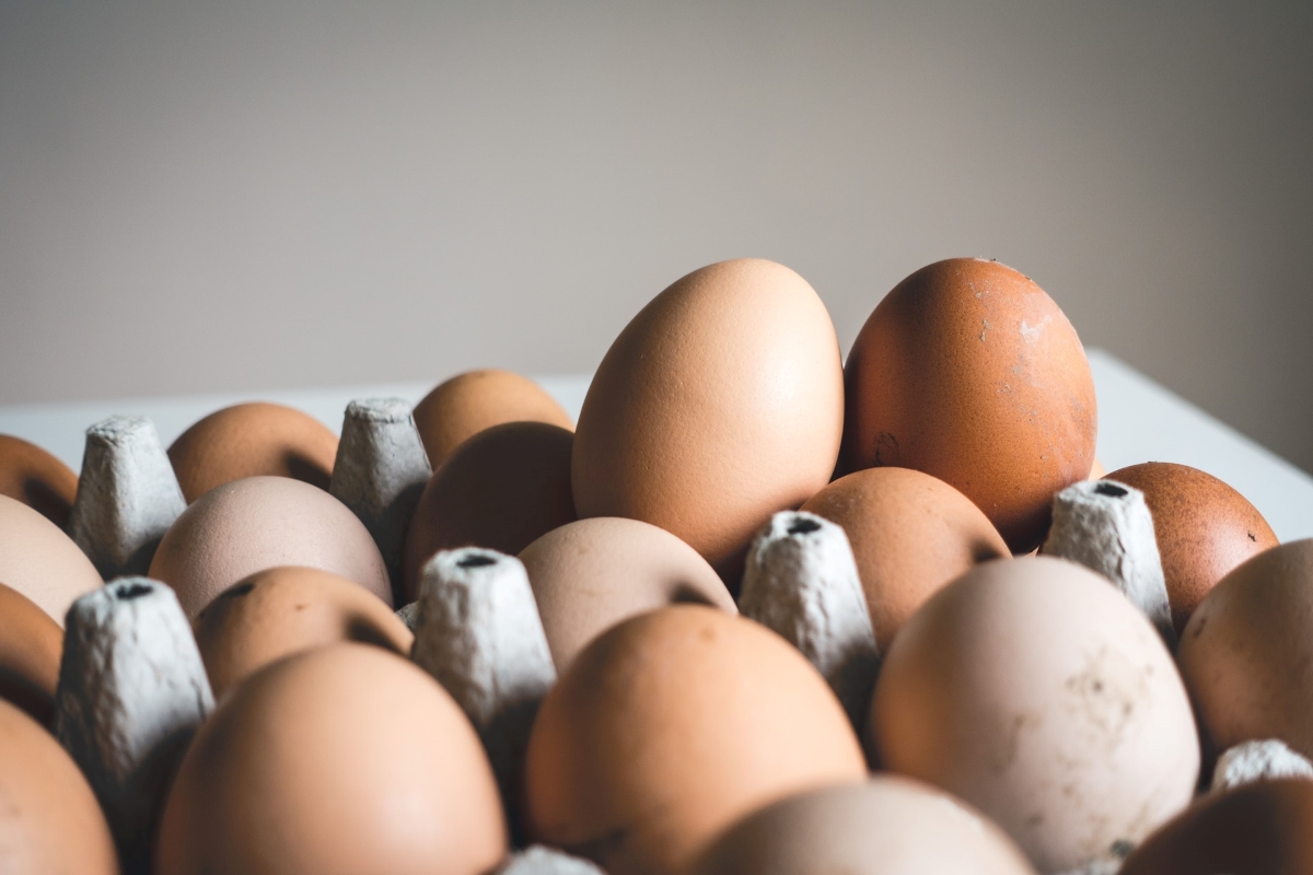 Shortage of eggs due to logistics challenges