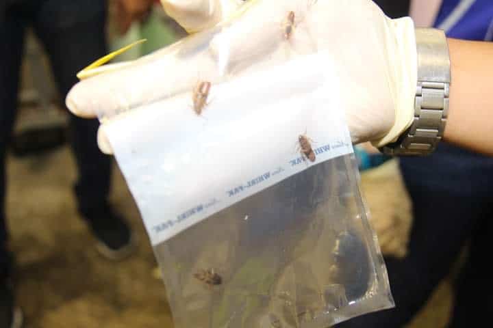 Lipas atas papan pemotong sayur, MPKL keluar notis kesalahan