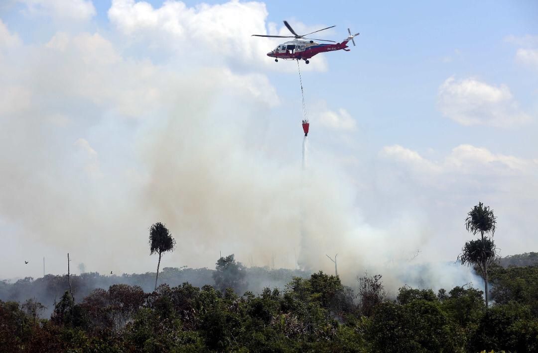 消拯局出动直升机  空中扑灭瓜冷林火