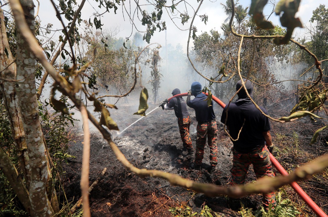 Kebakaran Hutan Simpan Kuala Langat dijangka padam sepenuhnya lima hari lagi