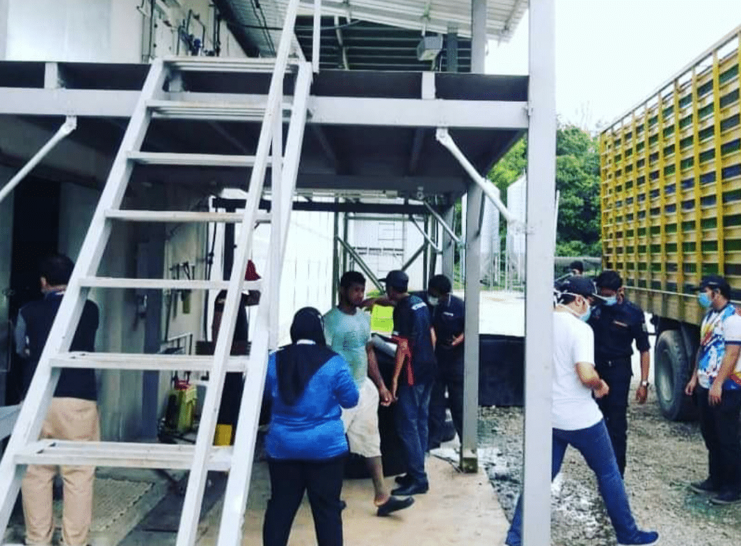 MDHS: Kilang ayam punca lalat dikompaun