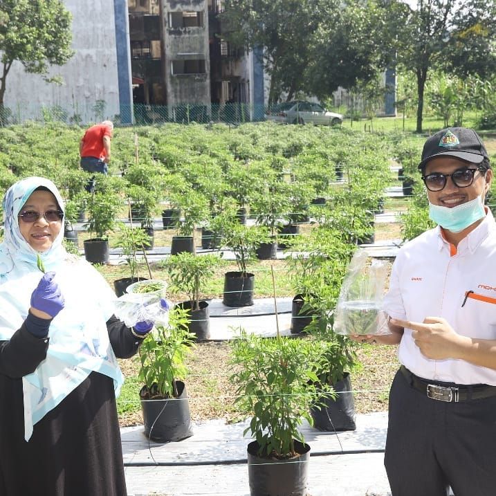 MDHS pilih dua pangsapuri sertai projek Laman Hijau Strata 2.0