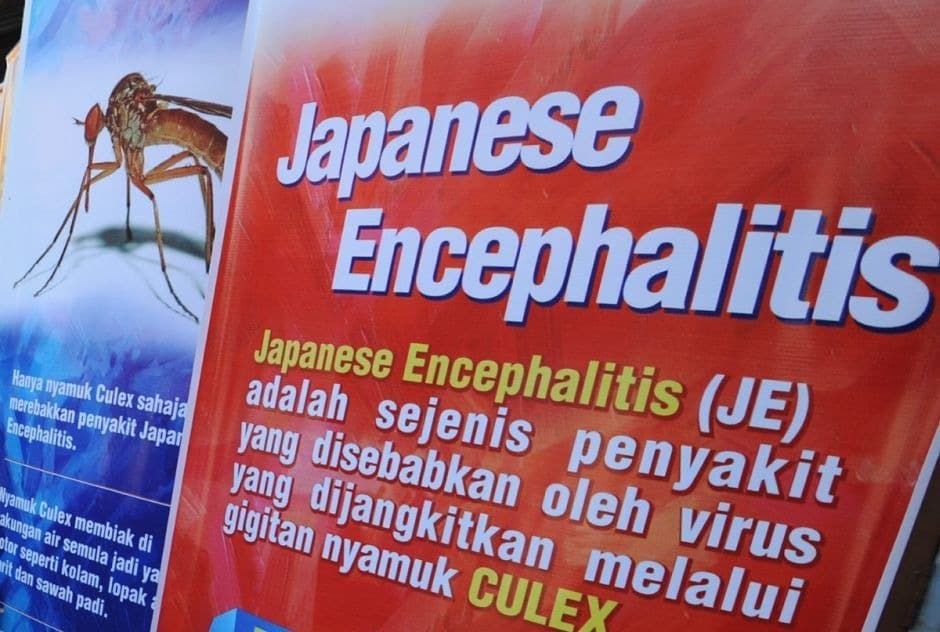 Empat kes Japanese Encephalitis di Pulau Pinang negatif