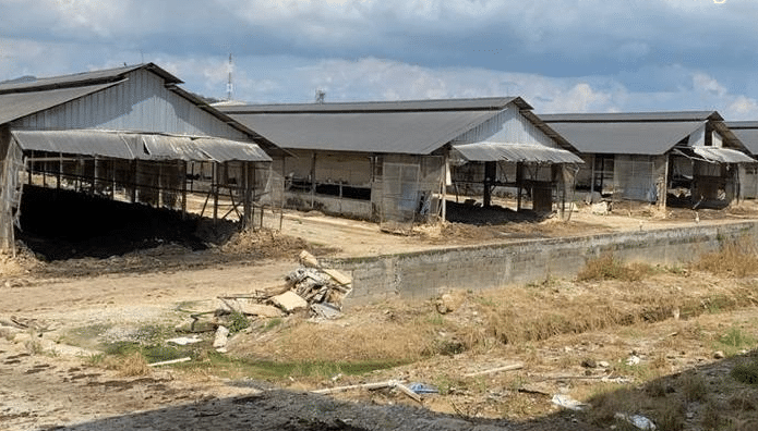 MDHS beri notis dua premis ladang ternakan ayam kotor