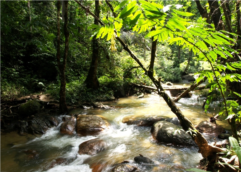 JPSM strengthening ecotourism to generate income for state governments