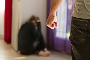 妇女政策概述数倡议应对家暴    诺莱妮：扩大受害者社会保护