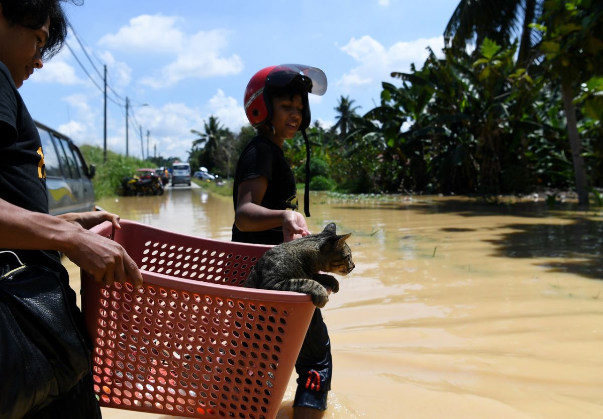 Second phase of flood forecast and alert programme ready by 2022