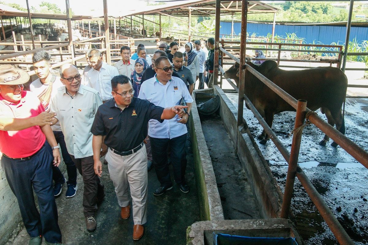 SOP ketat, ibadah korban tetap dilaksanakan - MB