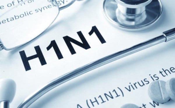Swine flu detected in livestock but no risk of infecting humans — Veterinary dept