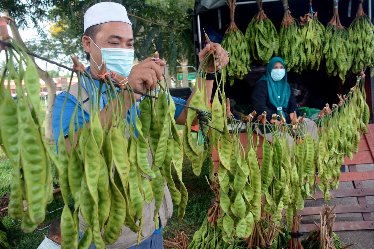 MCO to be re-enforced if cases escalate — Health DG