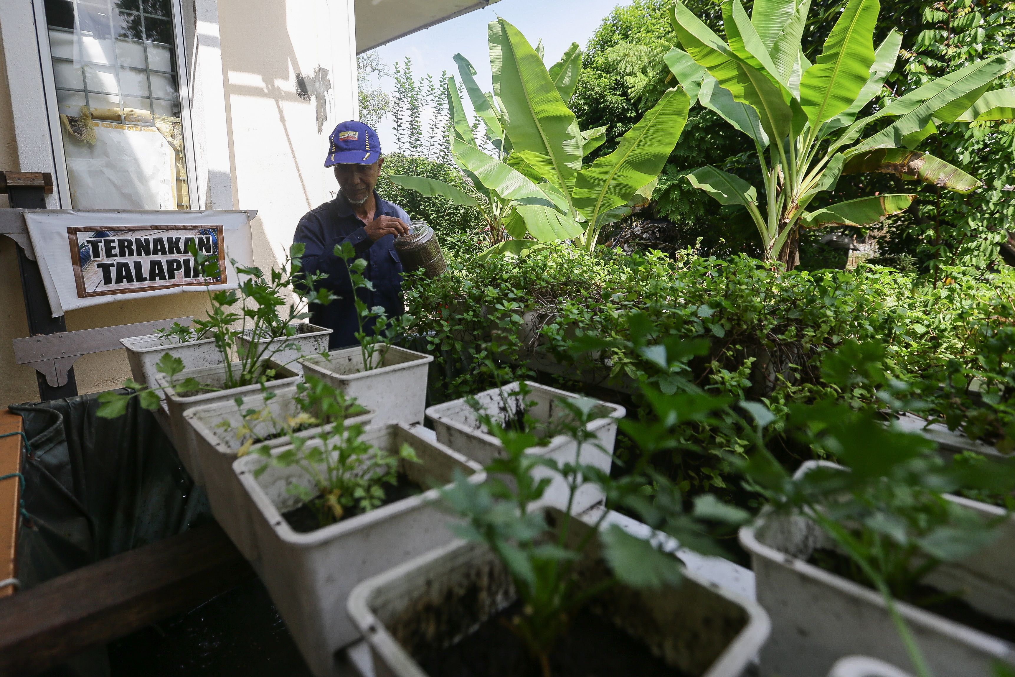 #selangor2022:  鼓励开辟社区菜园  拨60万助装绿色科技产品