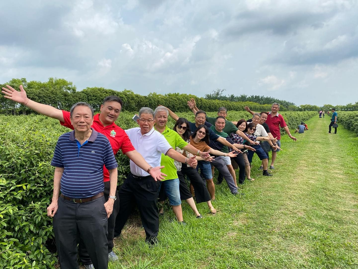 适耕庄再添新景点  柠檬香桃园迎客啦！