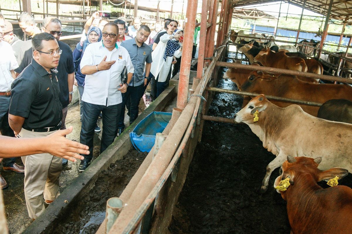 农场.屠宰场指南明日生效    巴生市会保障业者与环境