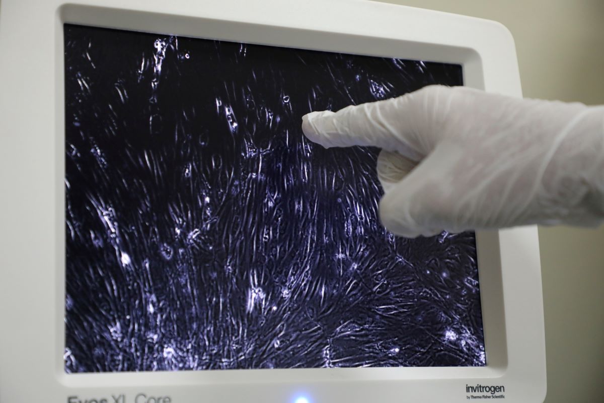 KJ: 215 sponsored clinical research projects conducted in 2021