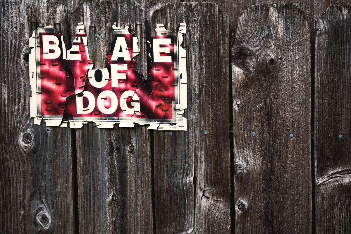 Fisherman fined RM2,000 because pet dog attacked woman