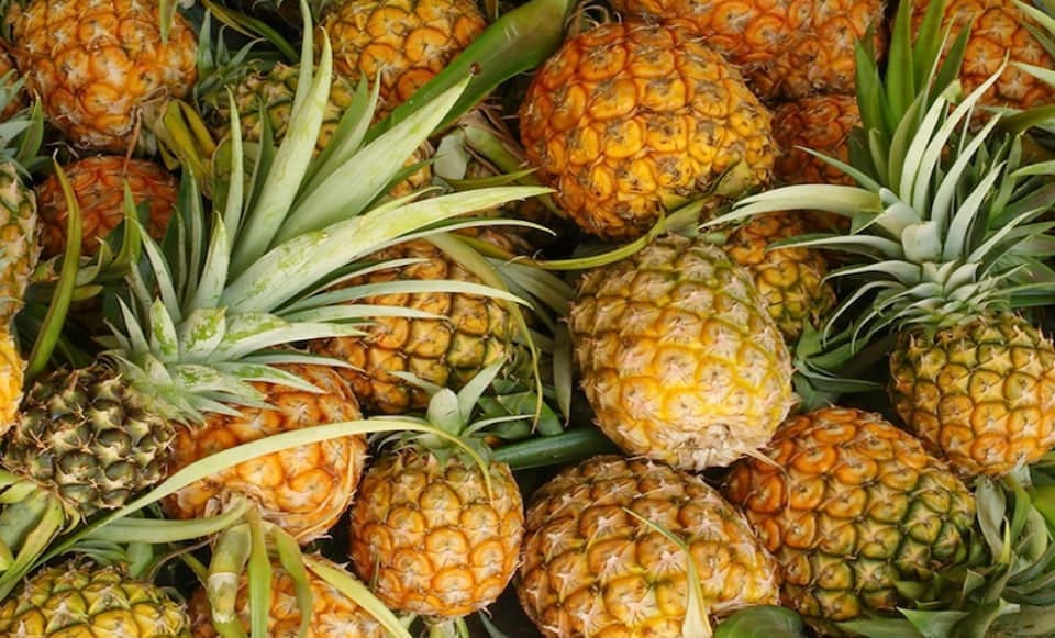 Nanas MD2 tawar pendapatan hingga RM80,000 seekar - usahawan tani