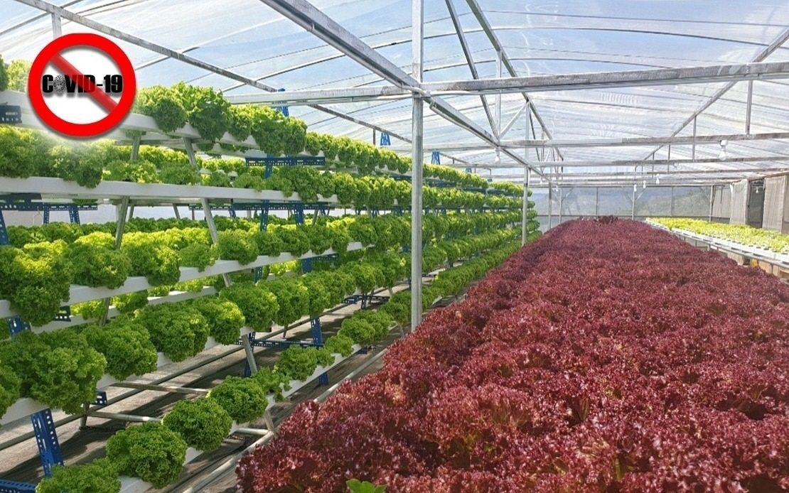 大马需投资相关科技克服气候变化 产生的粮食安全问题