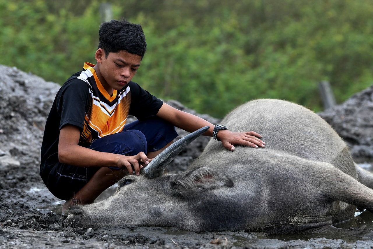 "Kematian Semek satu kehilangan besar buat saya" - Mowgli Malaysia