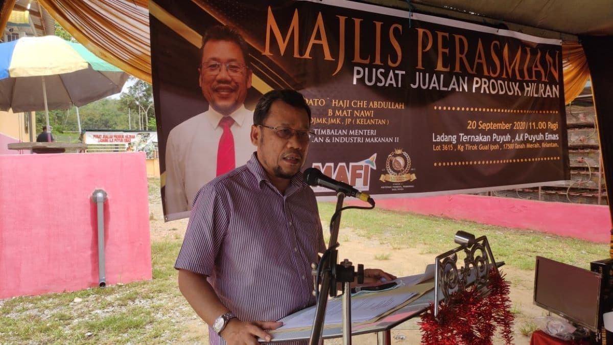 MAFI offers financing to 82 entrepreneurs nationwide