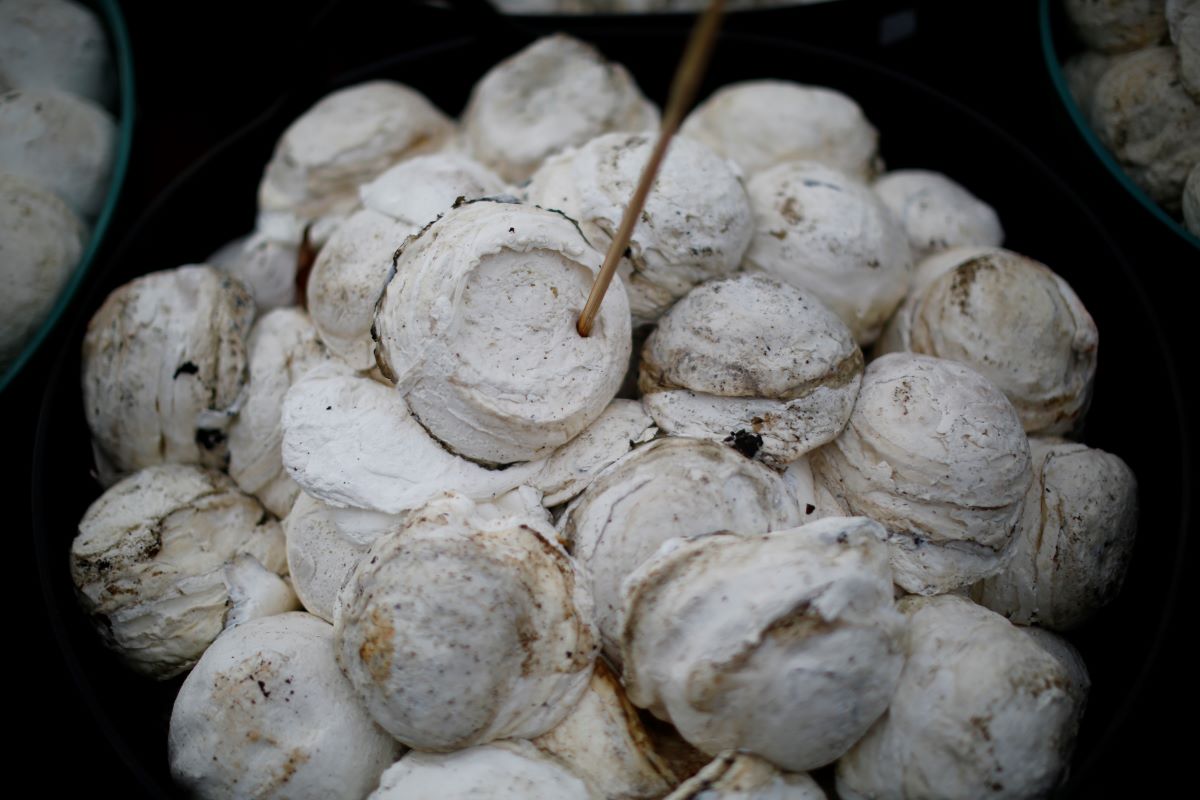 RM446 mln channelled to rubber smallholders under IPG scheme since 2015 — Fadillah