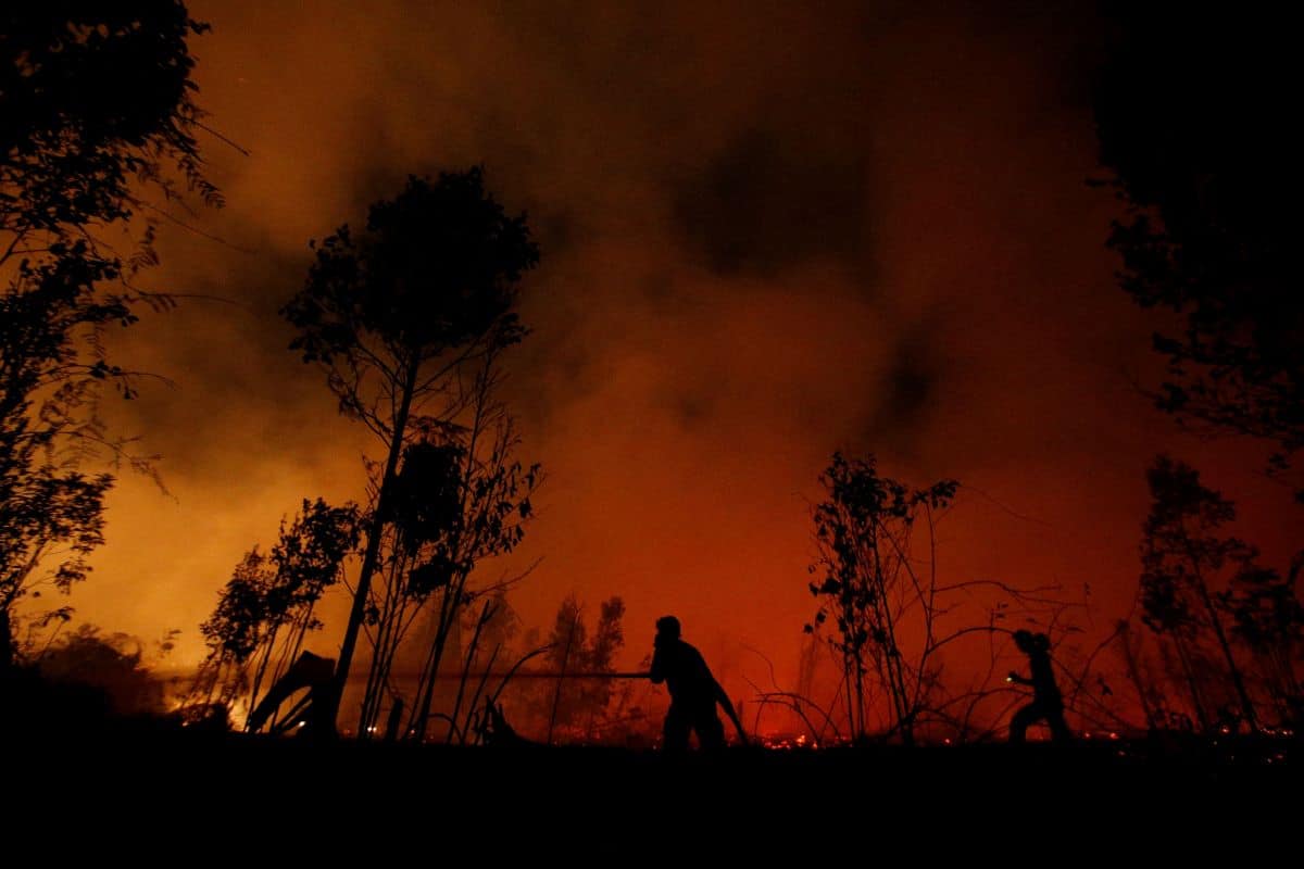 Malaysia ready to help Indonesia handle forest, land fires