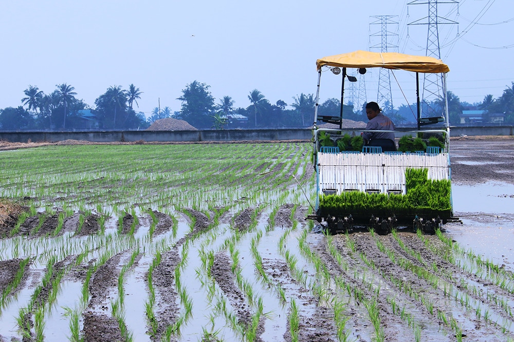 MBI, PKPS jalin kerjasama laksana projek pertanian berteknologi tinggi