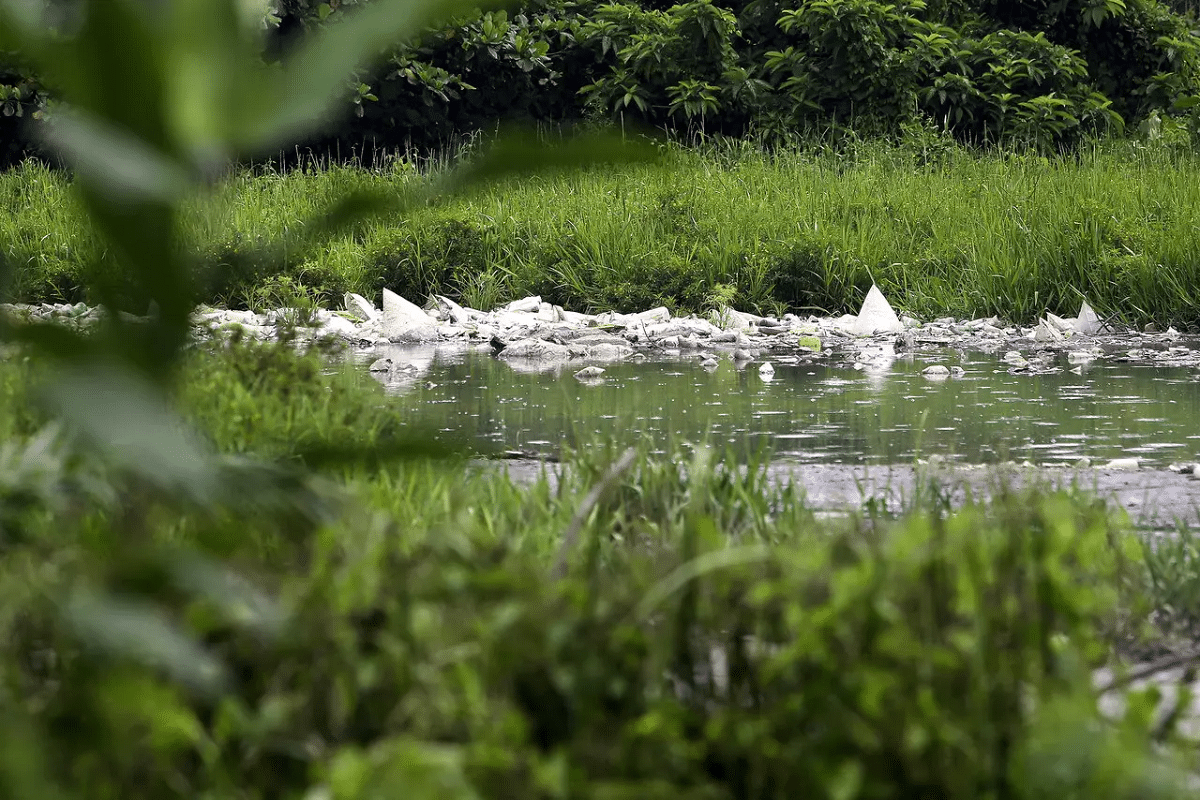Early result of analysis for pollution in Sungai Batang found caused by Dimethyl Disulfide
