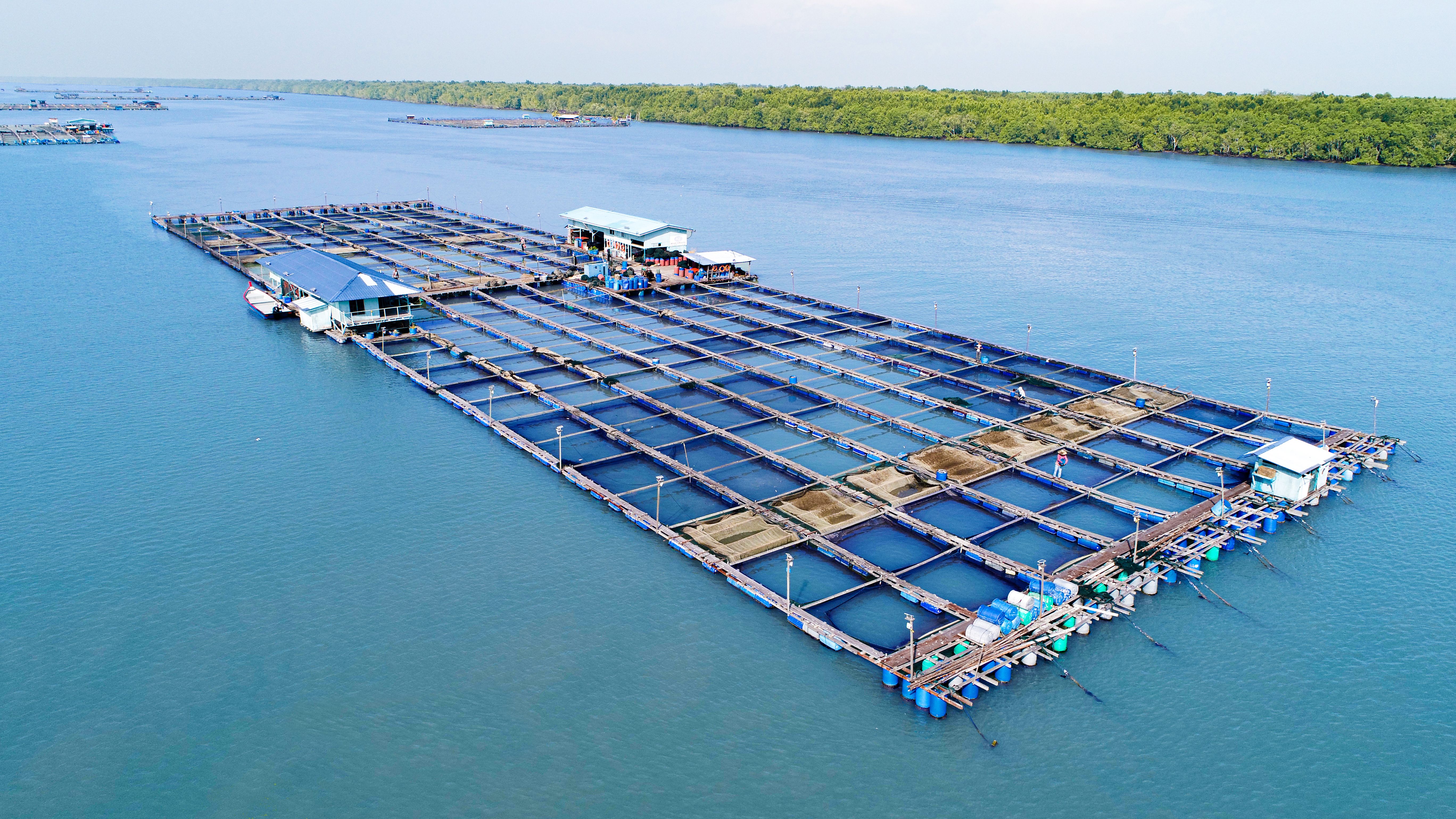 联合国与东盟警告海洋危机  吁全球守护免受污染与掠夺