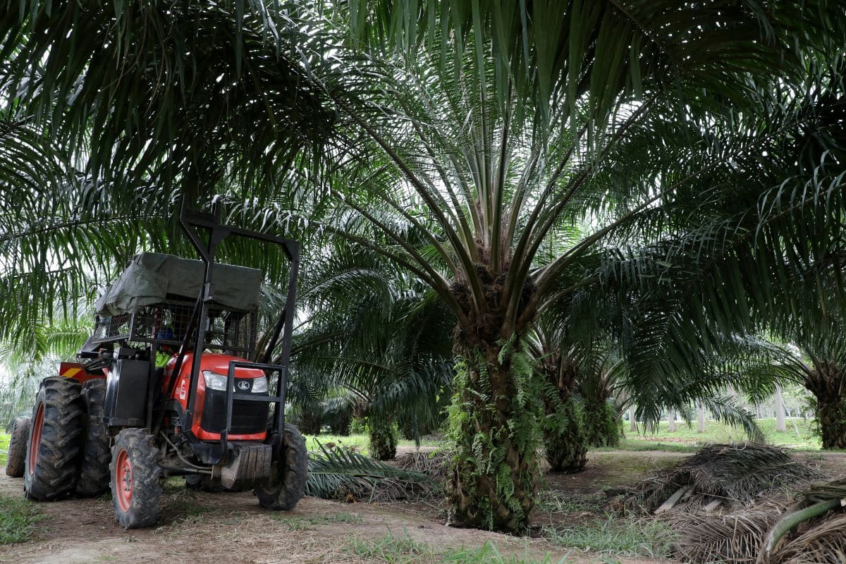 KPK drafting National Biomass Action Plan 2022-2030