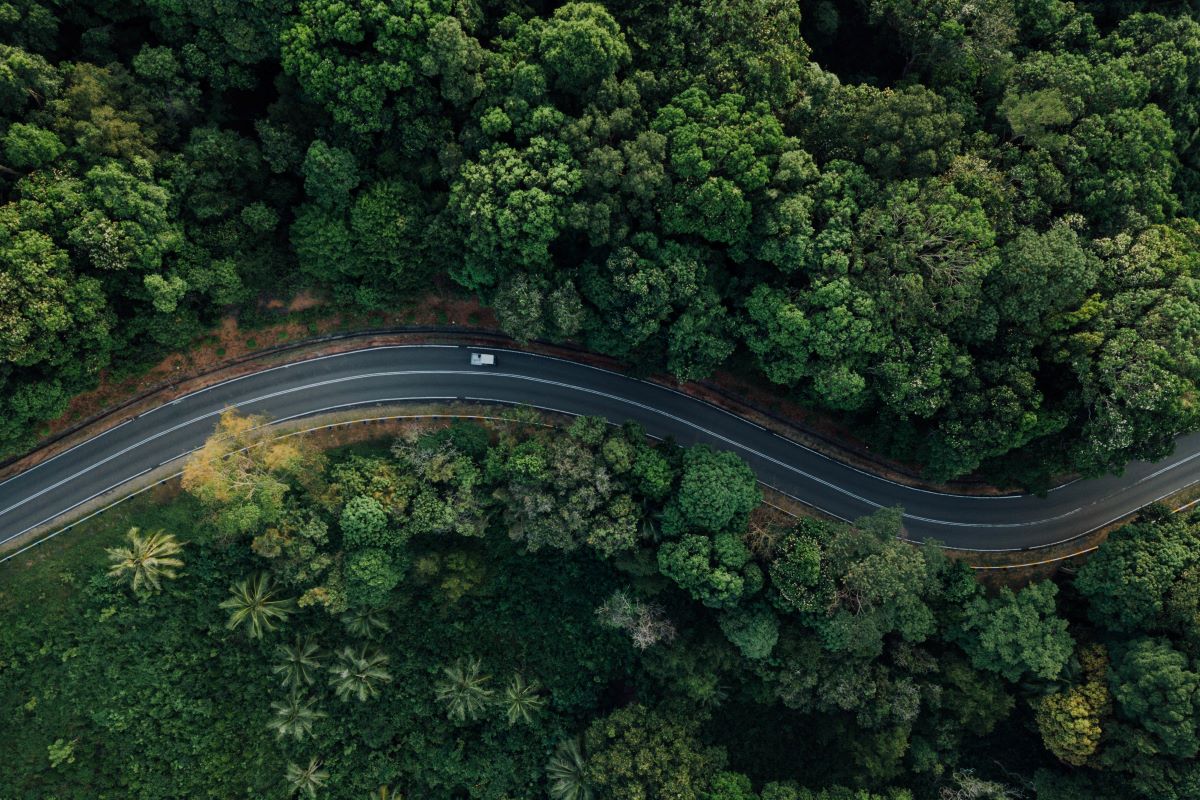 SAM: Have wild life safety awareness in driving course