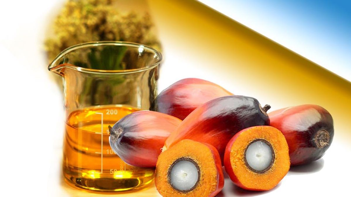 Palm oil exports' value worth RM51.40 bln from January to October