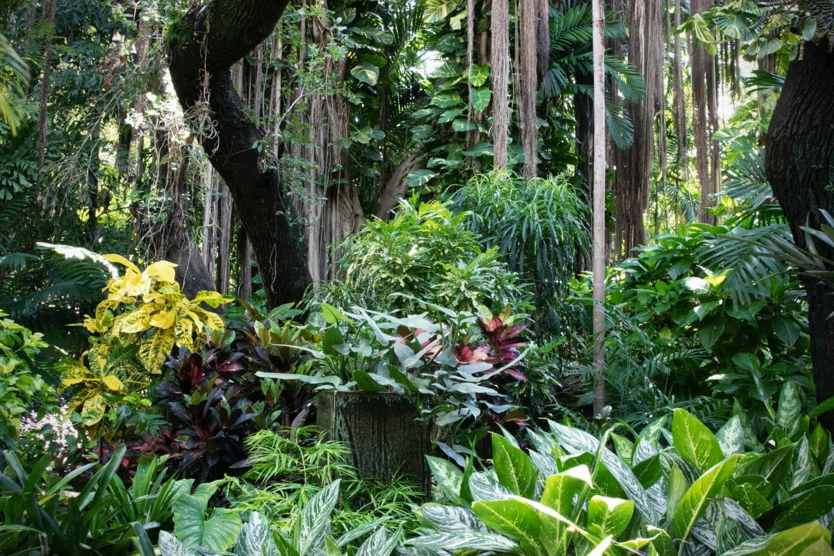 Malaysia fulfils 50 pct forest cover pledge — deputy minister