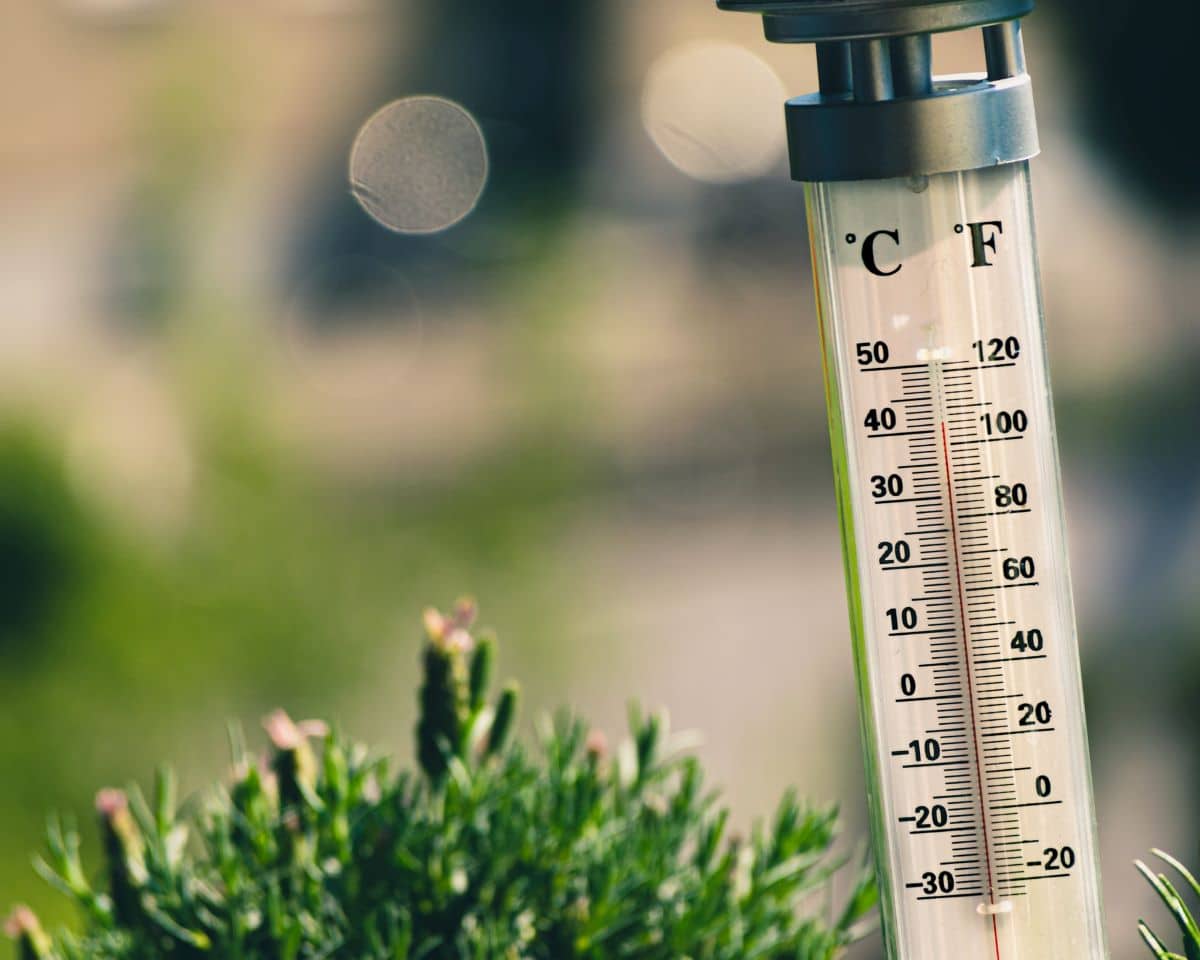 2020 to be one of three warmest years on record: UN report
