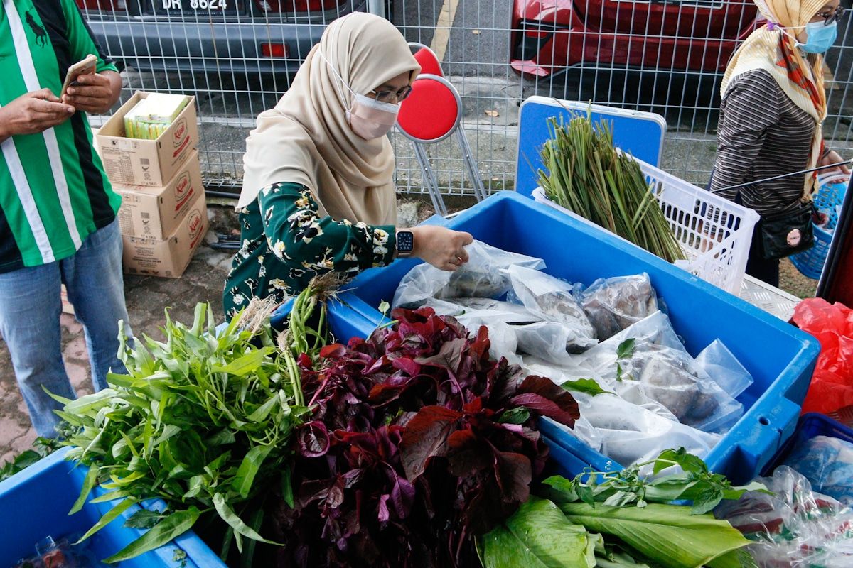 EXCO: Pemilik kebun komuniti disaran jalin hubungan dengan PKPS