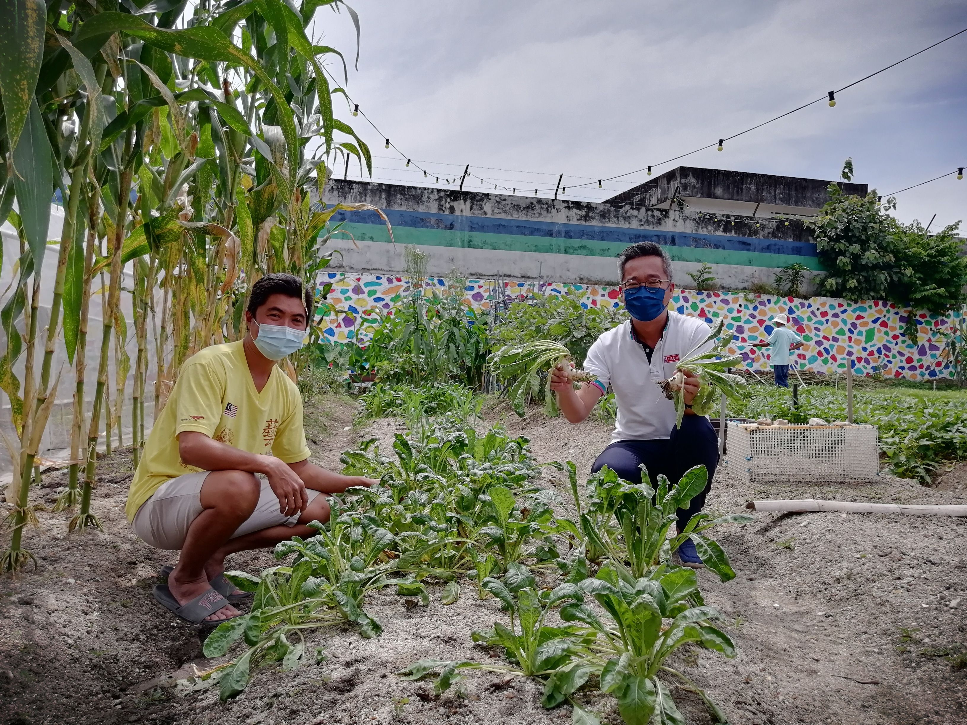 黄思汉：社区可向地方政府或机构 申请空地段作为社区菜园