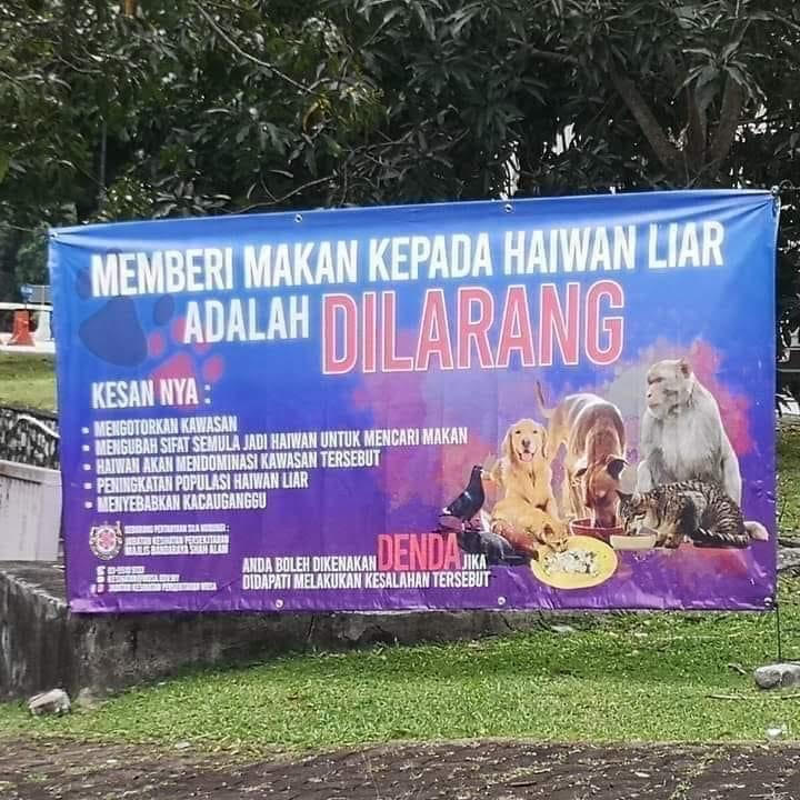 MBSA didik kaedah beri makan haiwan terbiar secara bertanggungjawab