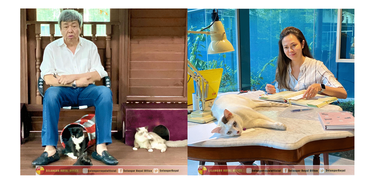Selangor Ruler, Tengku Permaisuri call for protection of stray animals 