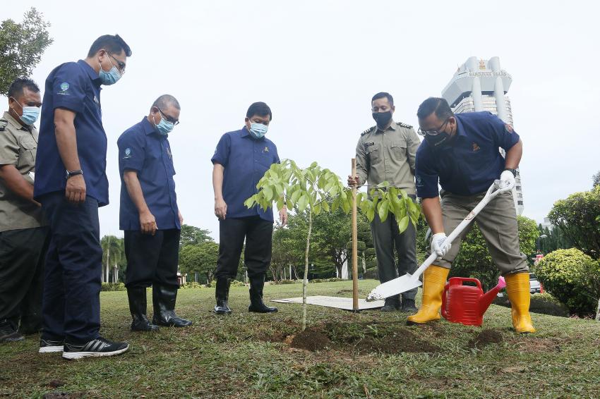 Kempen tanam 100 juta pokok libat hingga 80,000 hektar kawasan