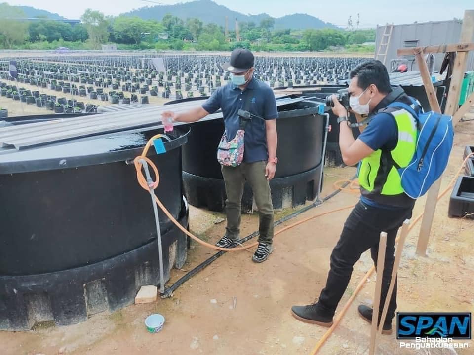 SPAN kesan sambungan air haram di tapak cili di Semenyih